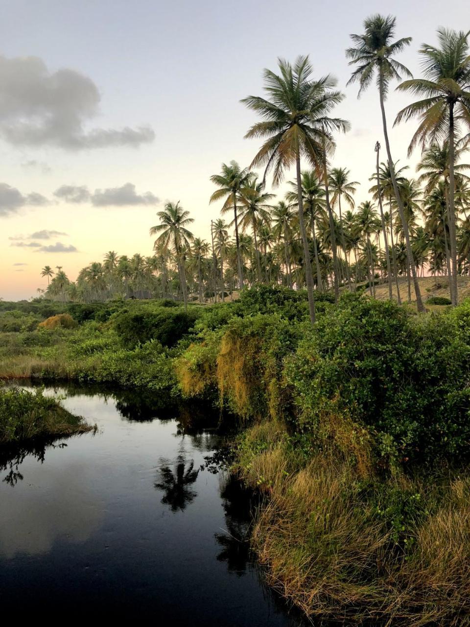 Lindo Village Imbassai Mata de Sao Joao Exteriér fotografie